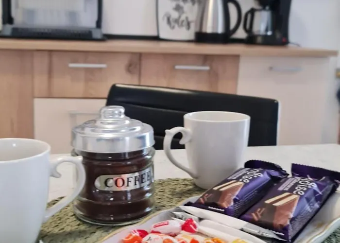 Jafar 11 Penthouse Lägenhet Timişoara